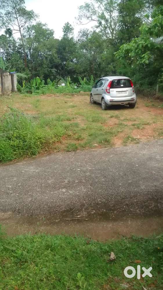 Punalur,chemmanthur 1km