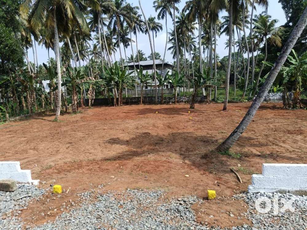Plots for sale in Manjathoopu juction