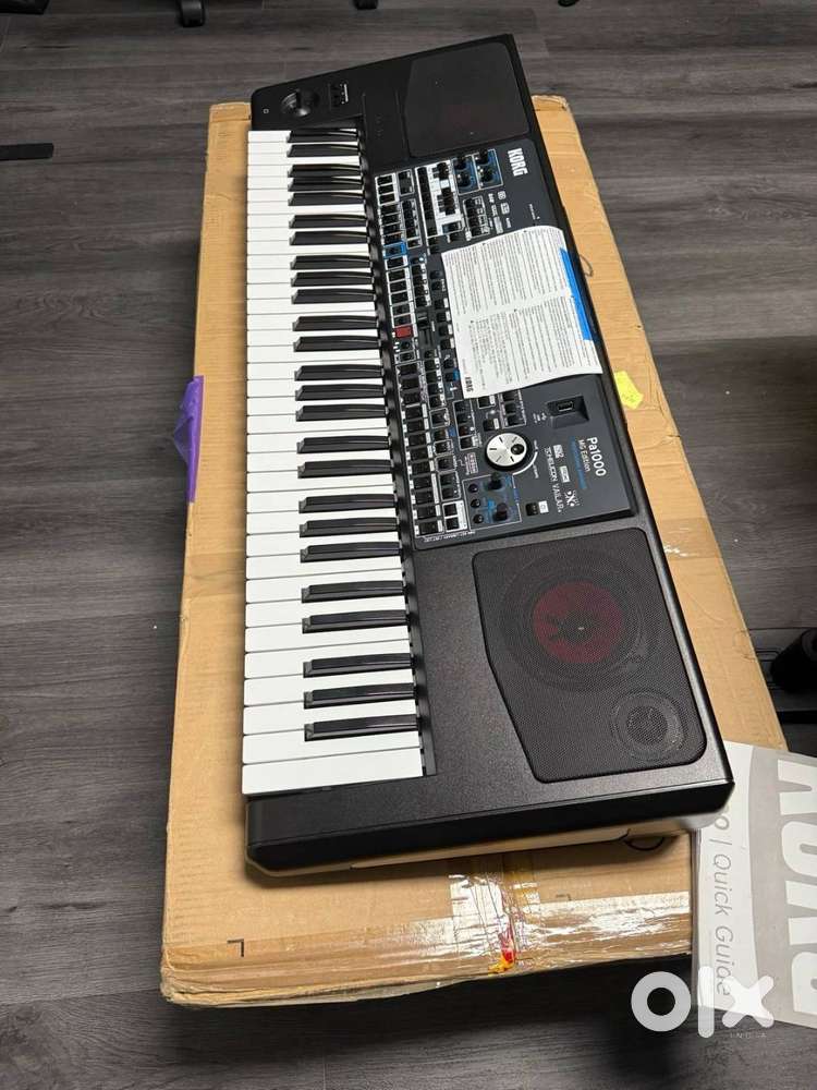 Korg Pa1000Mg Edition