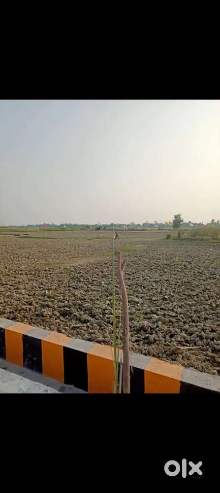 सुल्तानपुर रोड पर प्लांट ले जिला पंचायत सेअप्रूव्ड सोसायटी बैंक लोन