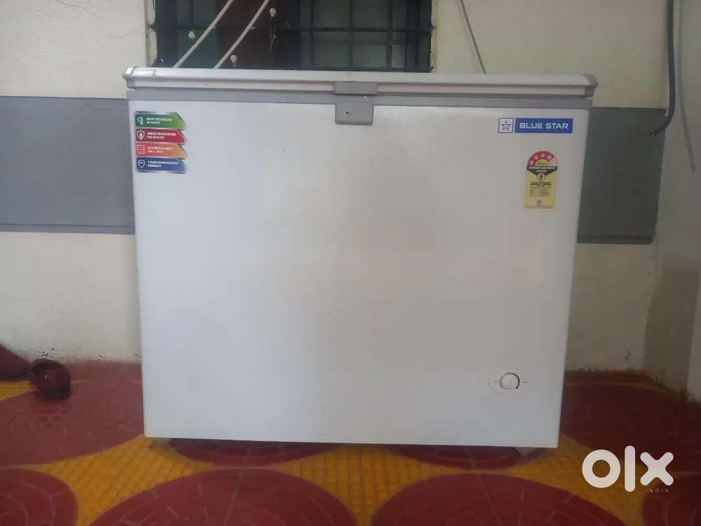 BlueStar Commercial Fridge