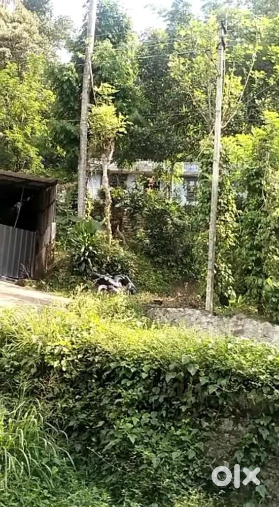 121 cent & old house for sale!