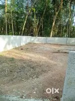 4, 5 cents near NH Chemapakamanglam 300 meters feom main road