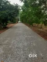 Farm lands for sale
