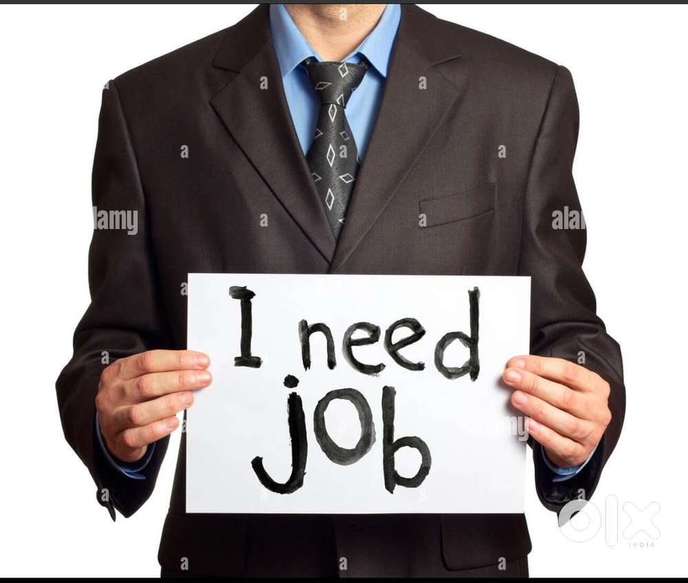 i need job i have driving licence 7 years  experience