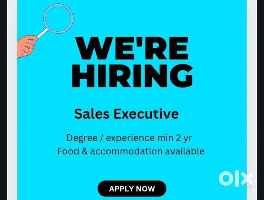 Sales Executive