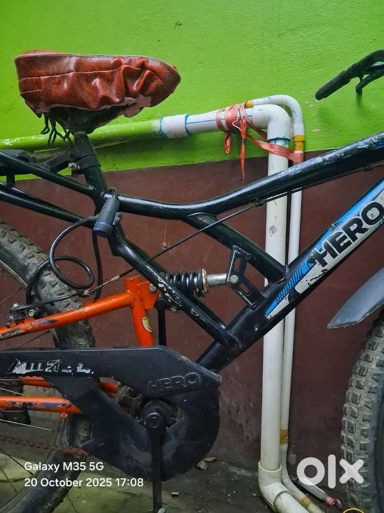 7 Months old Modified bicycle