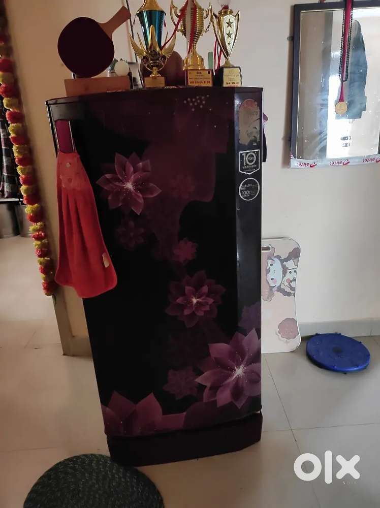 Refrigerator singal door