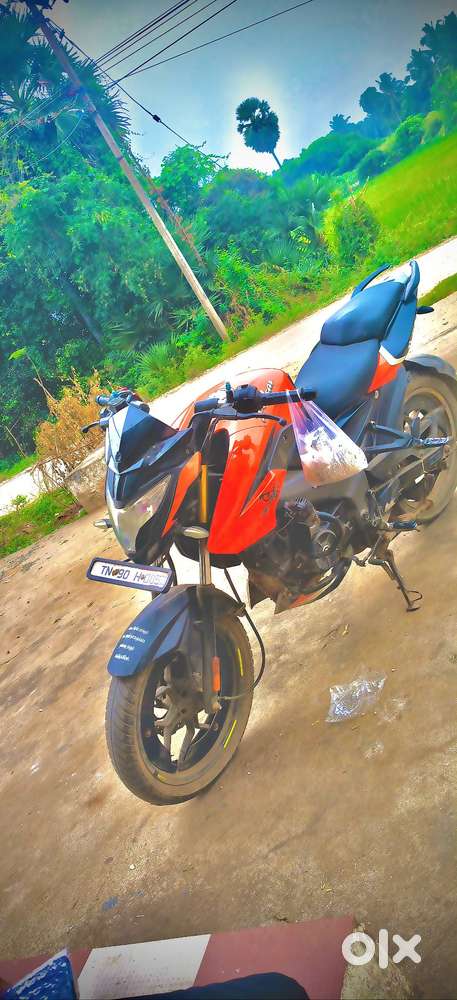 4 year old Millage 50