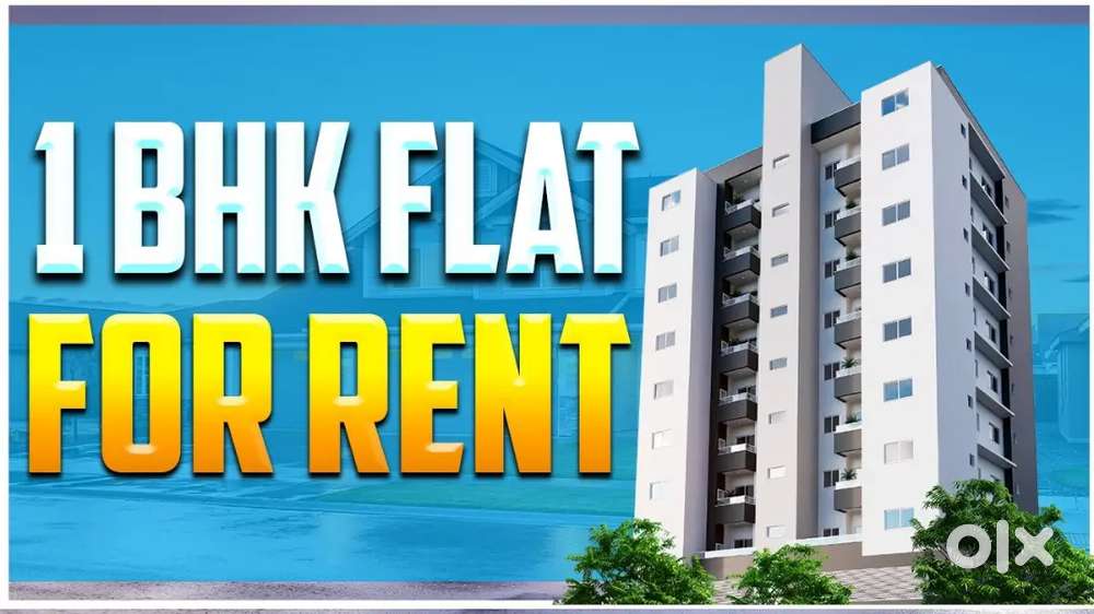 1 bhk fully furnished Flat available for working