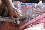 FISH CUTTER