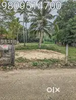 Road frontage Land/Plot for sale near Koonammavu, 80 metres from NH 66