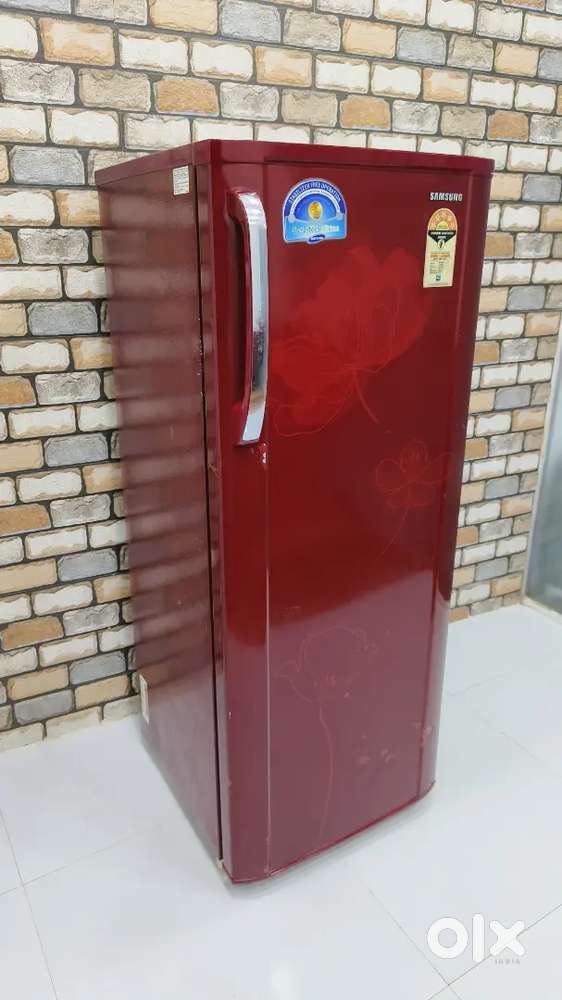 Samsung big capacity red colour flower model refrigerator