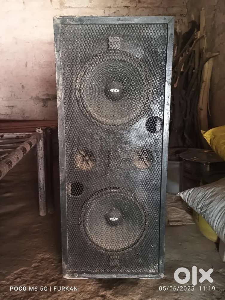 Sound 10 Inch 100 watt