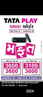 All dish services