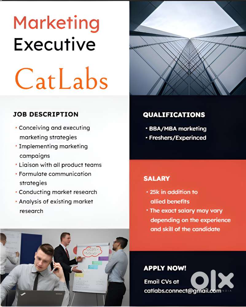 Marketing Executive