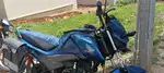 Livo hond sales