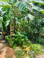 Residential Plot For Sale