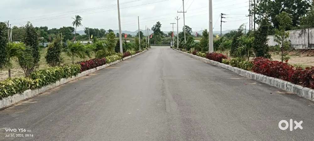 Future city-Pharma City plots