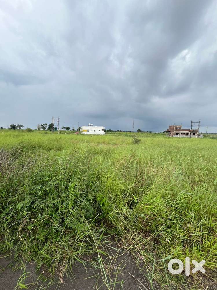 Sulla road railway bridge 800mitr niyar