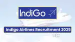 Job in indigo airline fast apply now