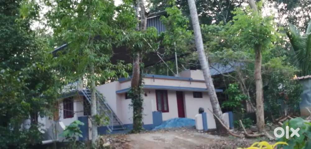 House for rent