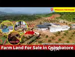 Farmland and farm villa sale