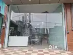 tafan glass gate 12×14