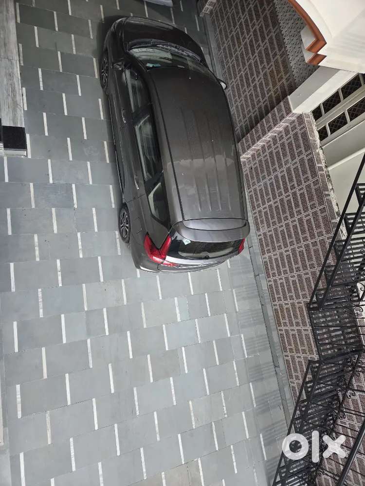 Nice car petrol cng