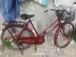Hercules bicycle
