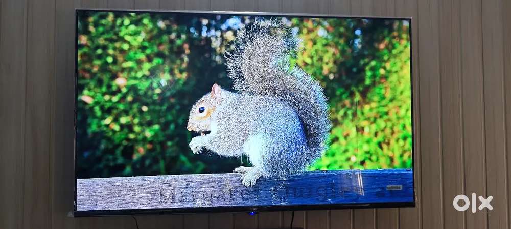 Brand new lg 55 inch smart tv with warranty installation 4k