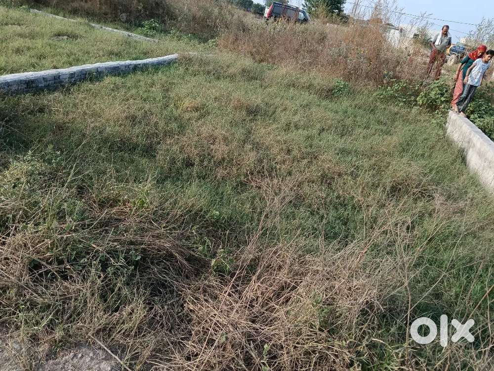 Mahendergarh farm house near suraj schools