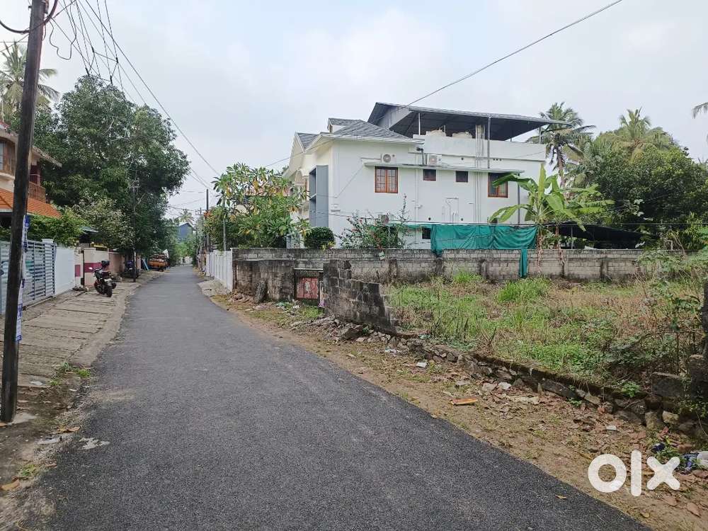 500 MTR from medical College 10.5 Cent plot sale 20 lakhs Cent