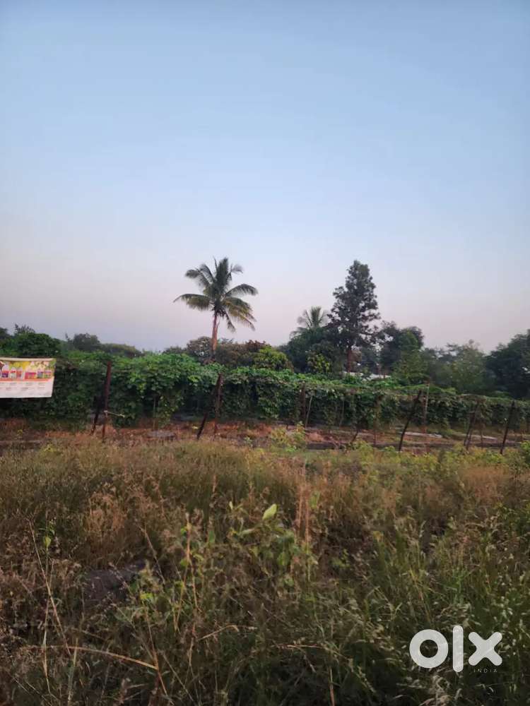 Land For Sale near ओझर Airports 81 Ghunte