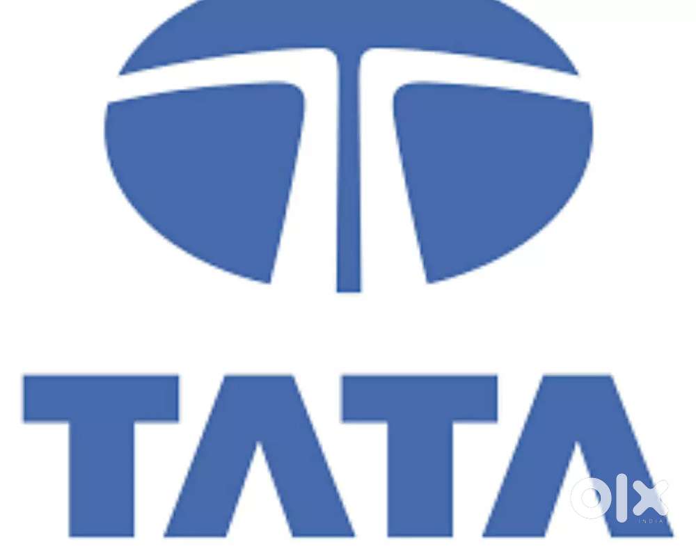 Tata consultancy back office job Data entry executive manager