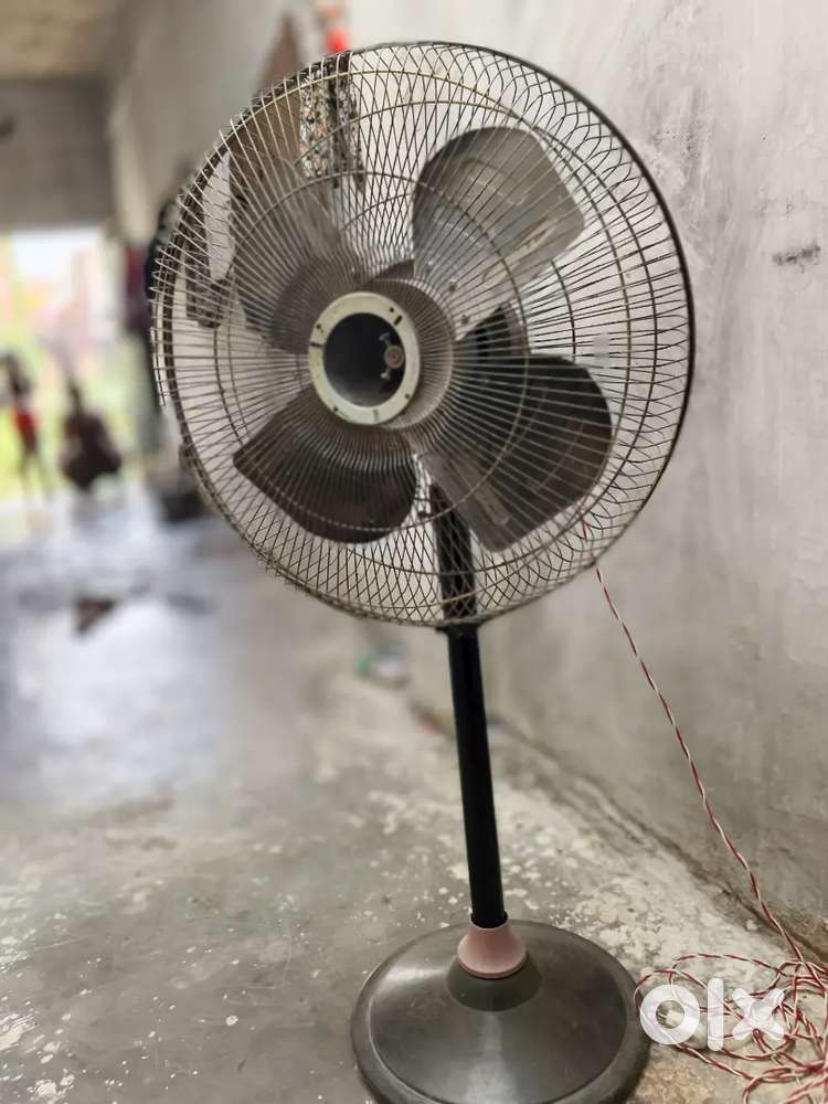 Black color fan