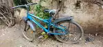 Hercules bycycle