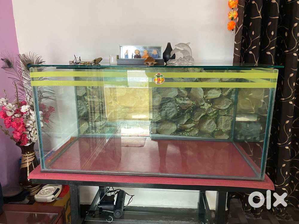 4 Feet Fish Tank with Strong Iron Stand