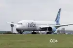 Hiring for Driver & Airport Ground Staff Positions at IndiGo Airlines
