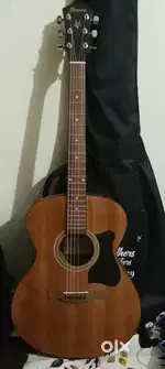 Ibanez brand new acoustic guitar with padded bag
