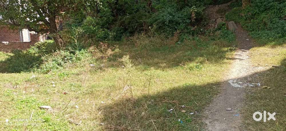 12 biswa land khaneri rampur bsr with path 2 minute distance from road