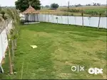prime land for sale