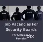 Security Guard and security supervisor