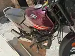 Tvs sports