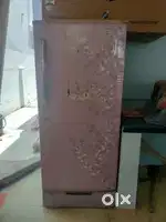 LG company fridge