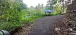 14 Cent Original Land for sale at Thuppampadi, 1.35 Lakh / Cent