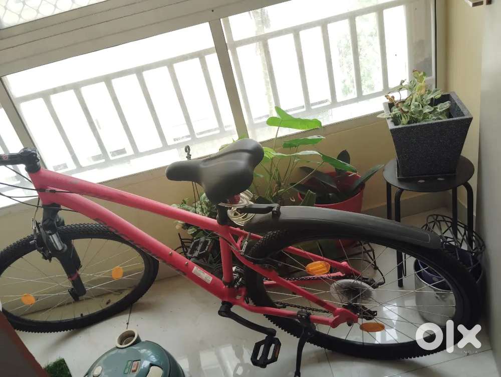 Rock rider ST 100