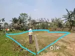 Myadi Land for Sale at Mangaldoi Baruahpara