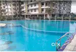 3bhk society flat available for rent