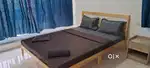 2bhk fully furnished flat